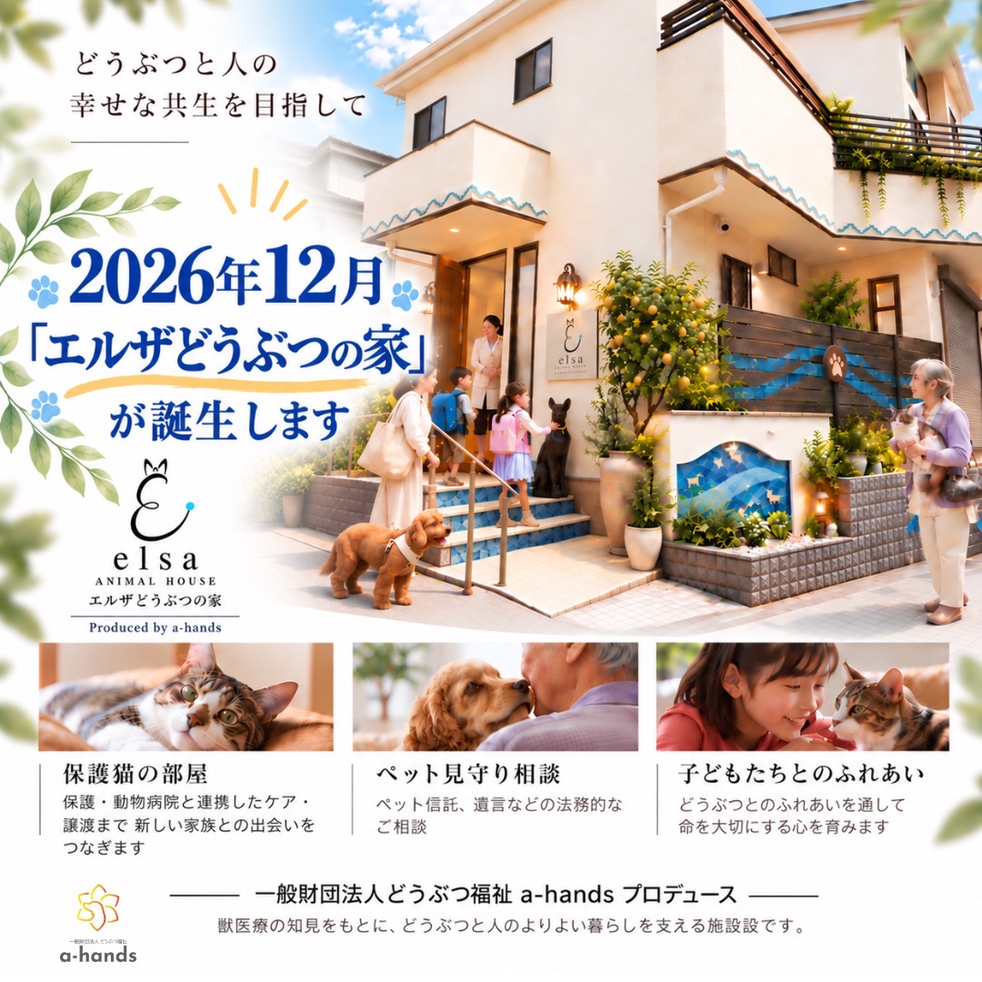 エルザどうぶつの家